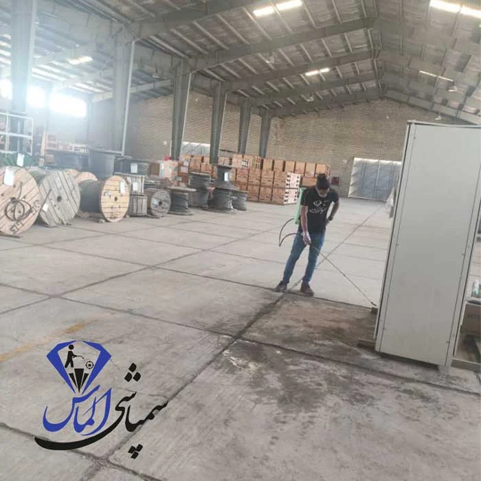 سمپاشی ساس در شهرقدس