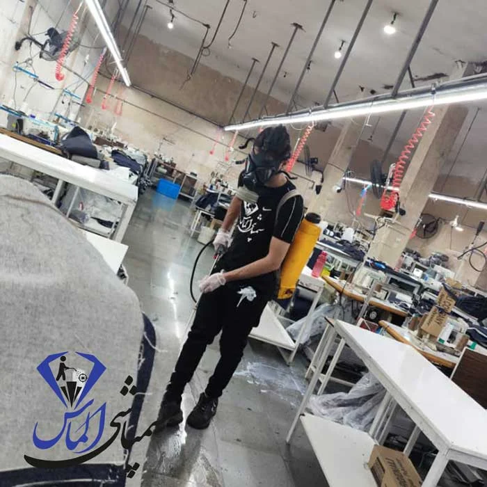 سمپاشی موش در شهرقدس