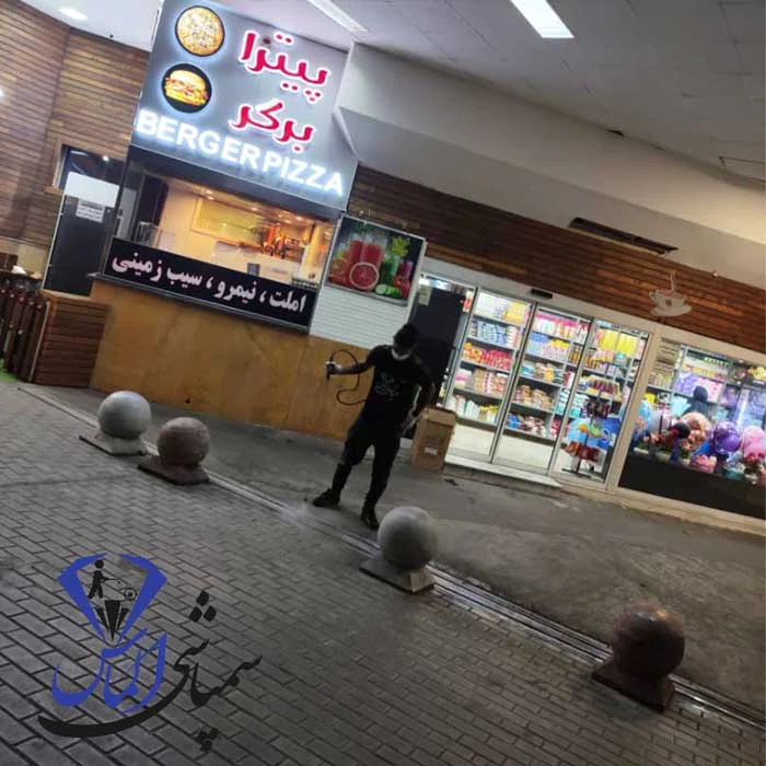 از بین بردن تخم ساس در ملارد