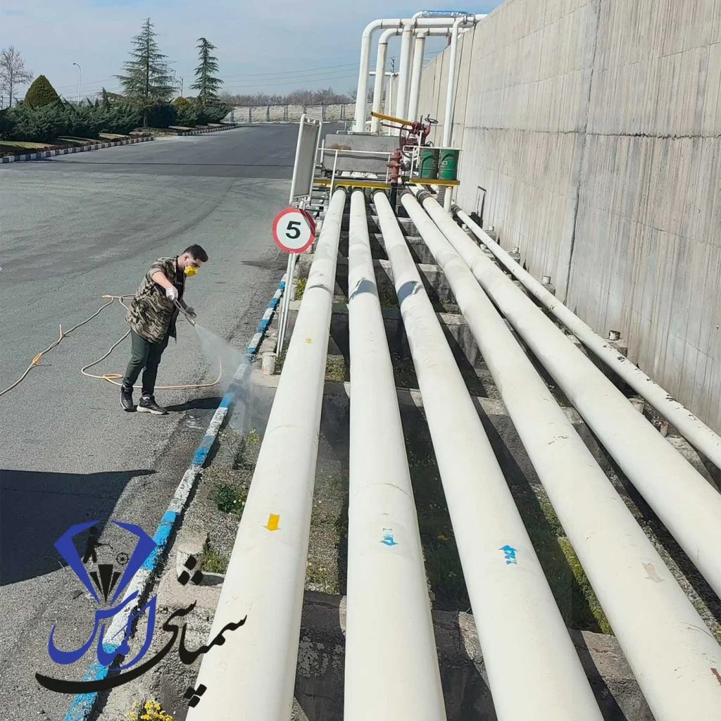 سمپاشی سوسک ریز آلمانی