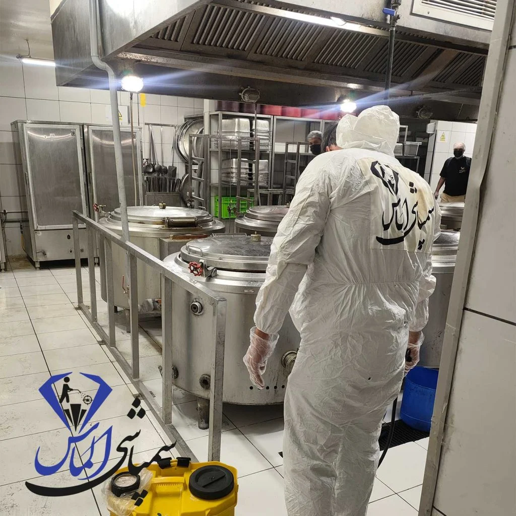 نشانه‌های آلودگی سوسک در آشپزخانه و روش‌های مقابله