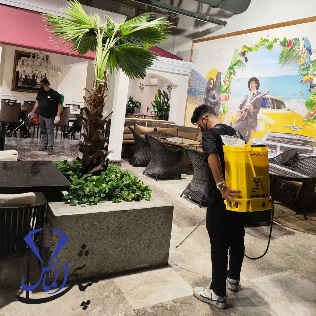 سمپاشی سوسک ریز آلمانی در تهران