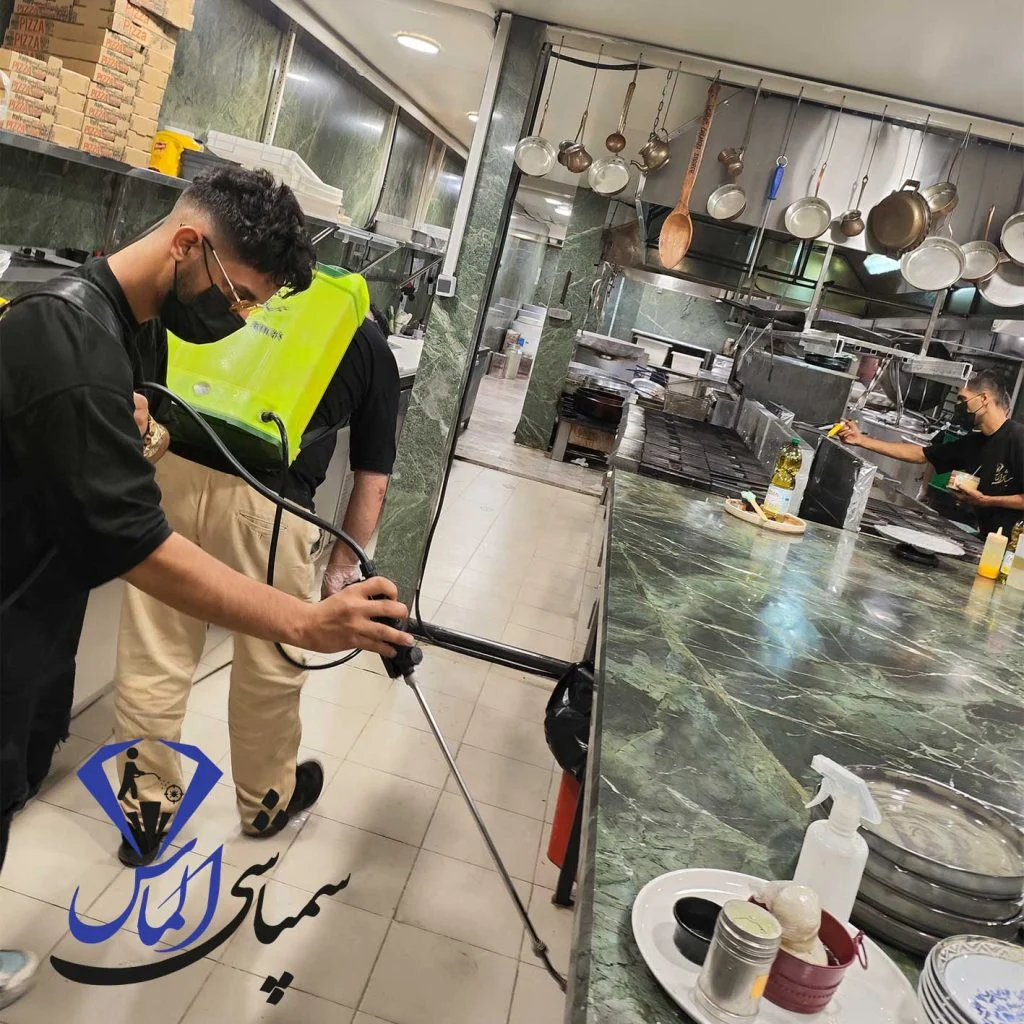 سمپاشی ساس بدون بو با روش انحصاری «دیاموند تکنیکال»