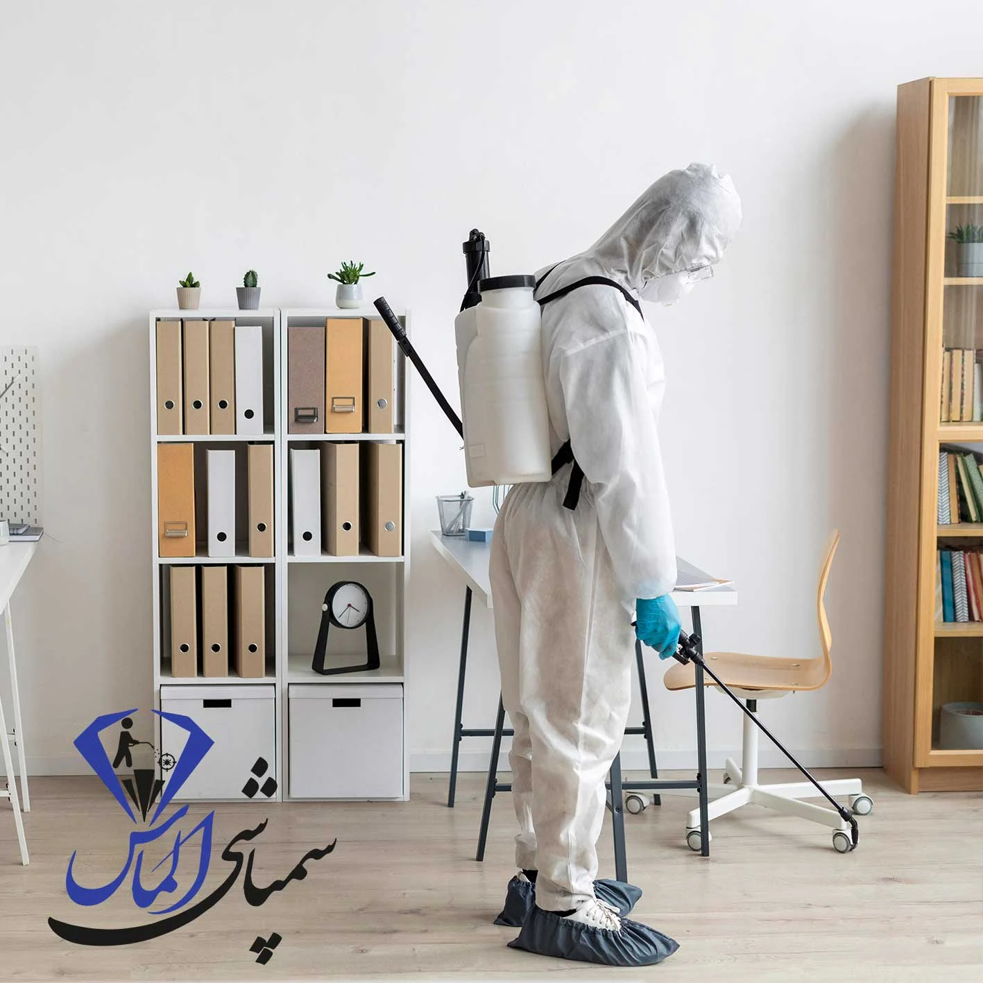 شرکت سمپاشی ساس در امیرآباد