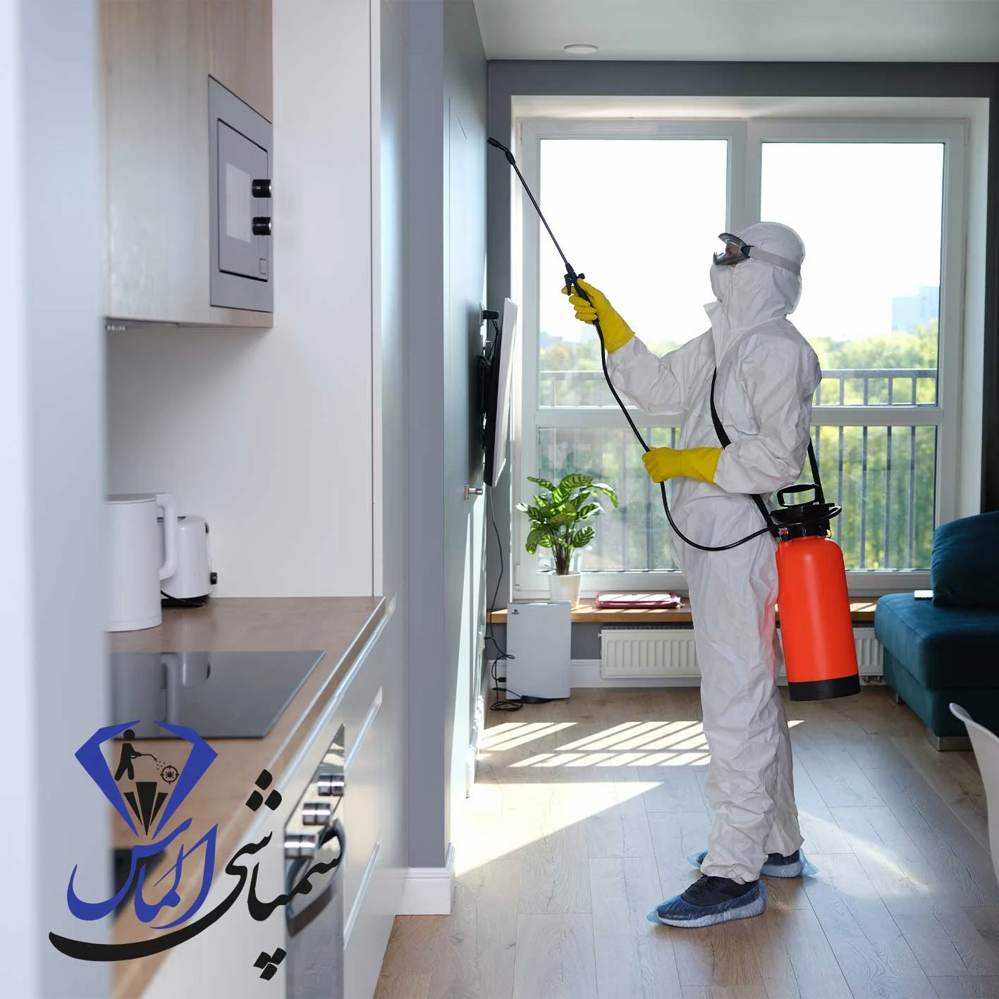 شرکت سمپاشی ساس در سرآسیاب