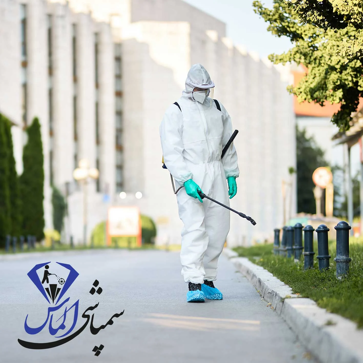 شرکت سمپاشی تضمینی در شهرری