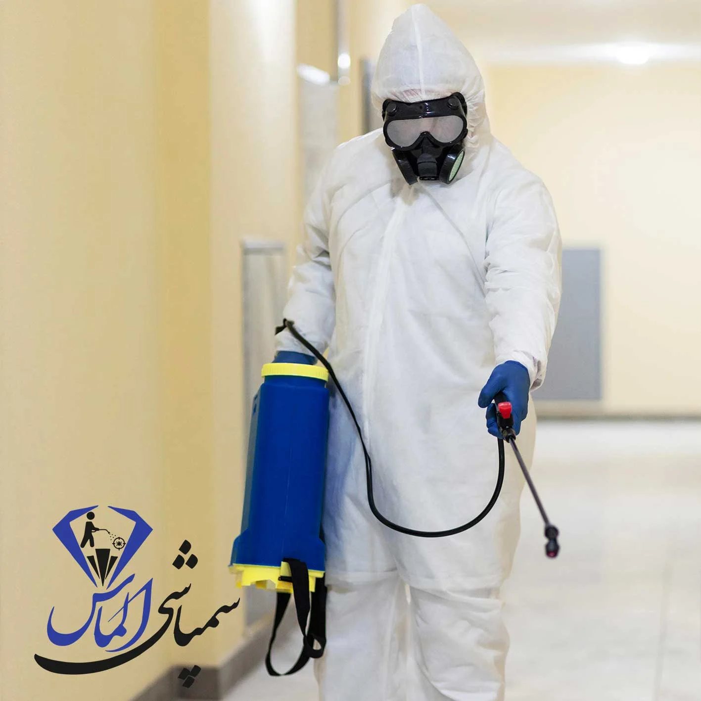 شرکت سمپاشی تضمینی در چیتگر