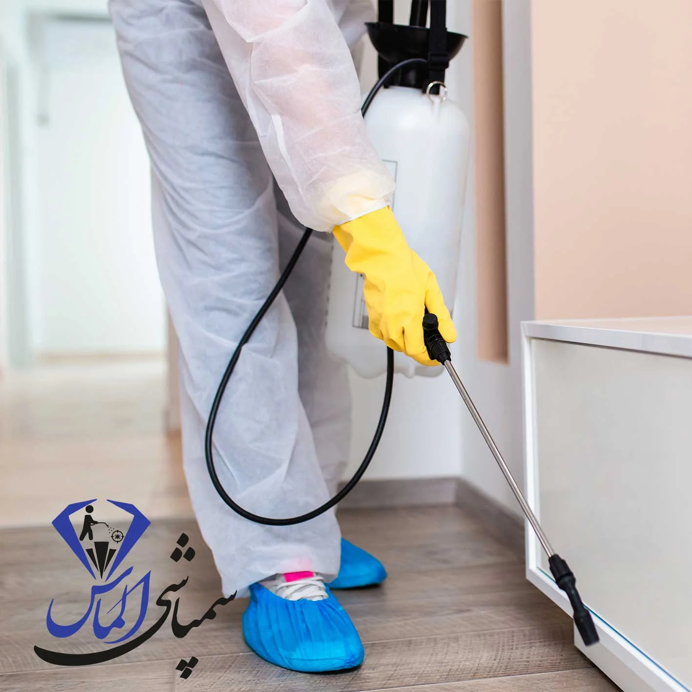 شرکت سمپاشی در محل در شمال تهران