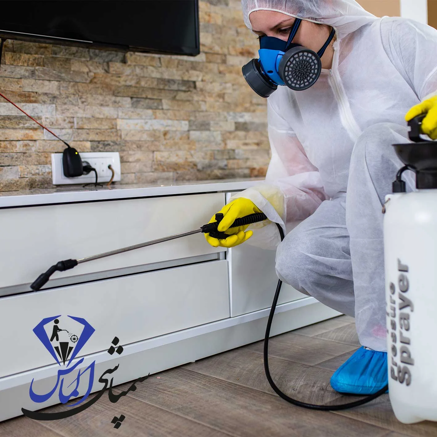 شرکت سمپاشی موش در جنت آباد