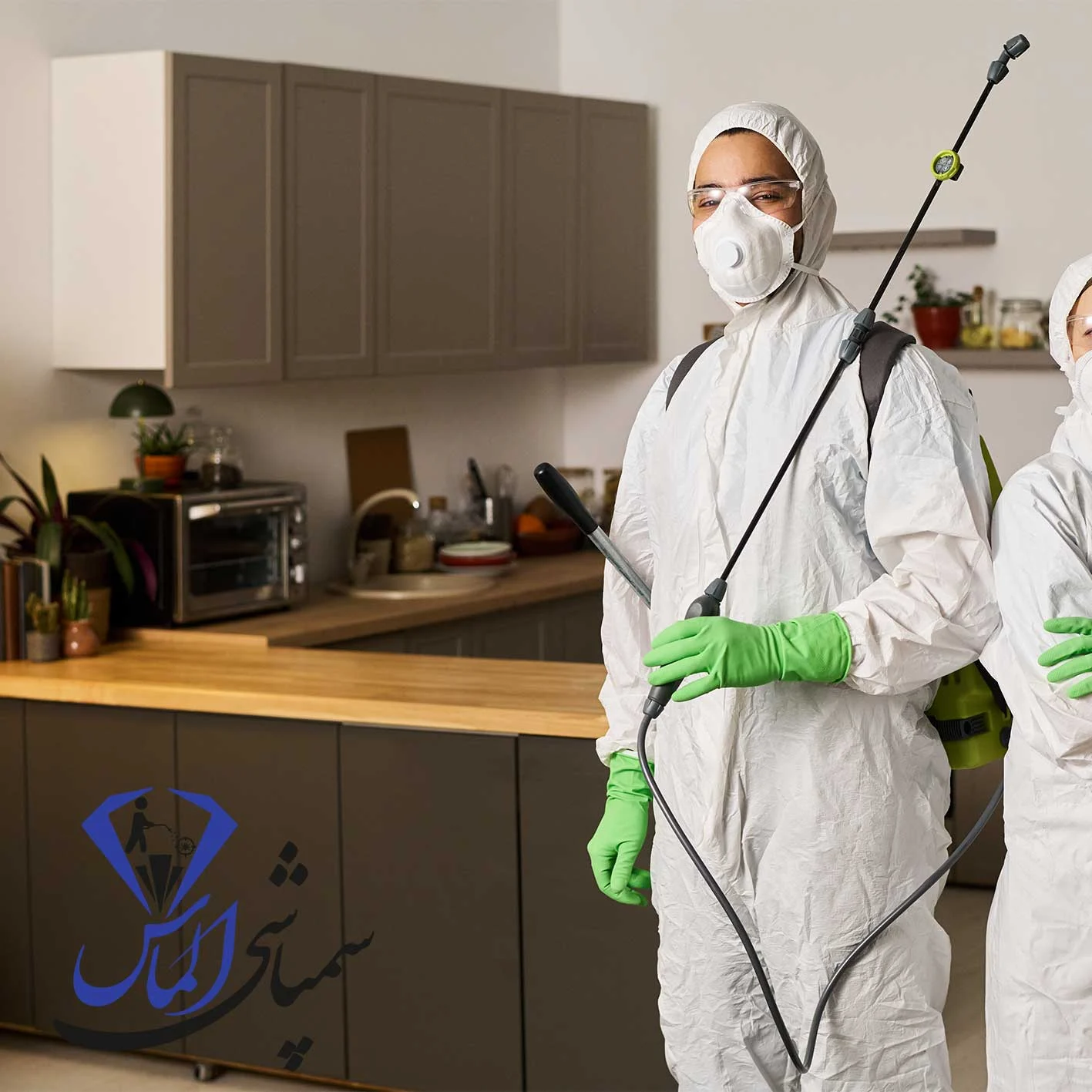 شرکت سمپاشی در محل در شهرری