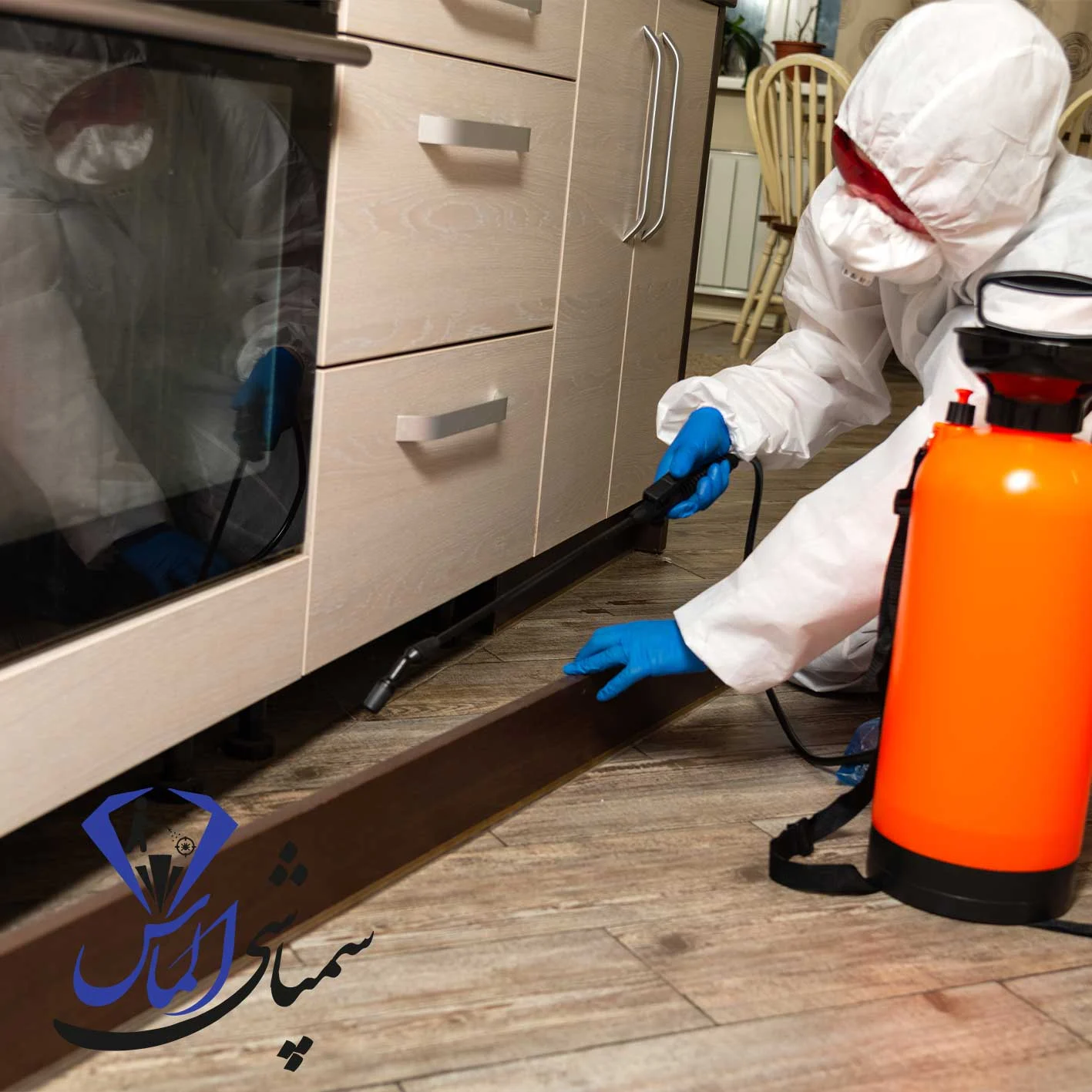 شرکت سمپاشی ساس در ستارخان