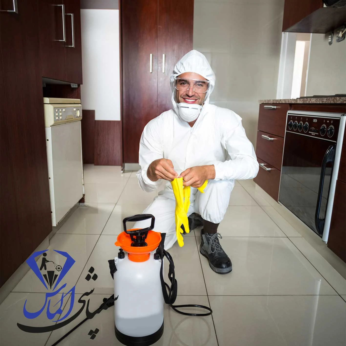 شرکت سمپاشی ساس در شهرک غرب