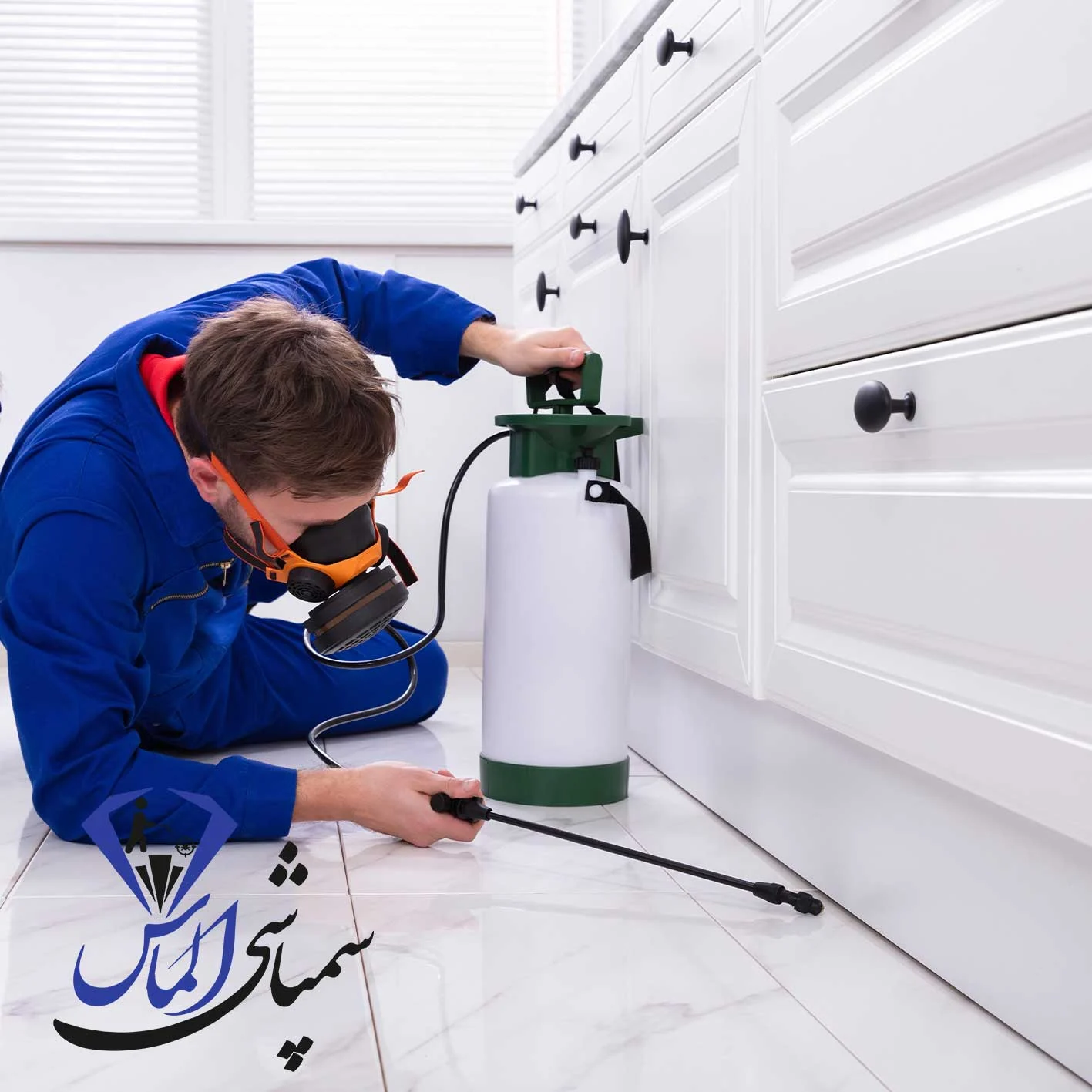 شرکت سمپاشی موش در سعادت آباد