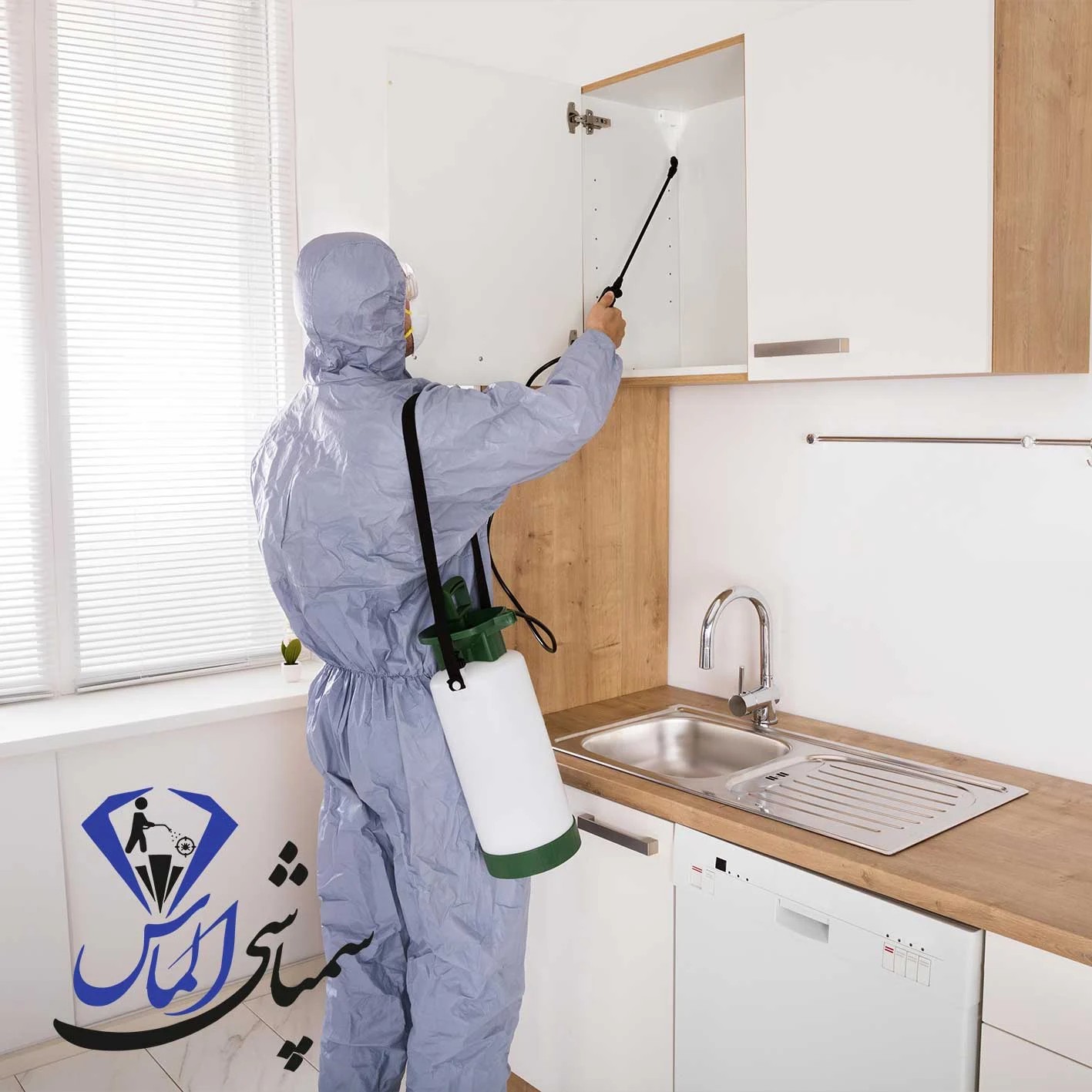 شرکت سمپاشی تضمینی در کرج