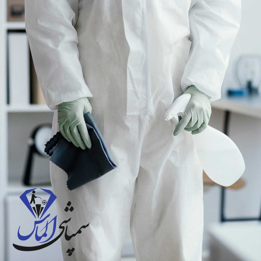 حشره ریز سیاه کوچک که می‌پرد چیست؟