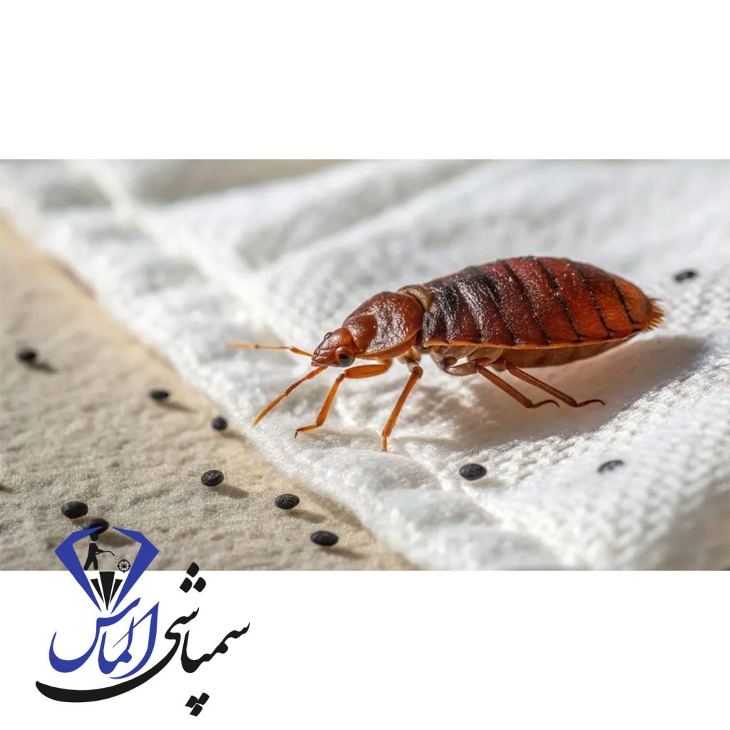 ذکر برای نابودی ساس